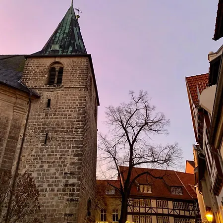 Kiefer An Der Blasiikirche - Altstadt *